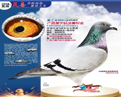 贵州天喜决赛52名
