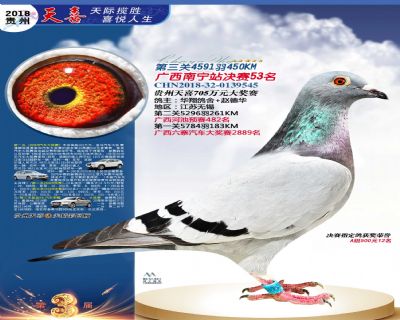 贵州天喜决赛53名