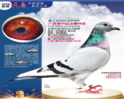 贵州天喜决赛54名