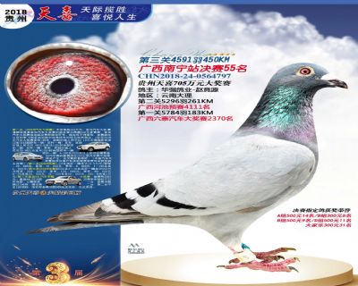 贵州天喜决赛55名