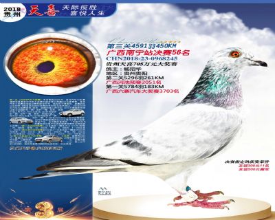 贵州天喜决赛56名