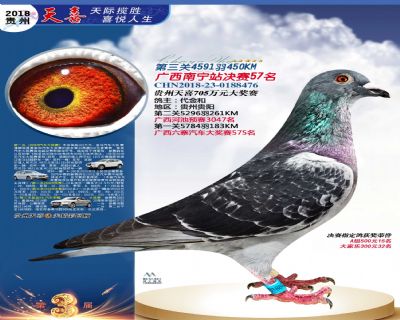 贵州天喜决赛57名