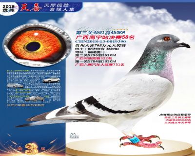 贵州天喜决赛58名