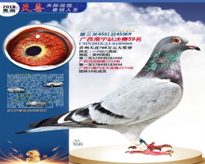 贵州天喜决赛59名