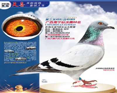 贵州天喜决赛60名