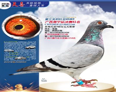 贵州天喜决赛61名