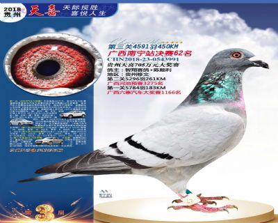 贵州天喜决赛62名
