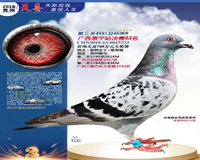 贵州天喜决赛63名