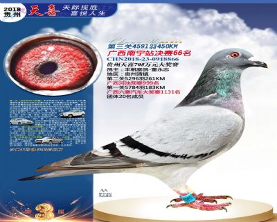 贵州天喜决赛66名