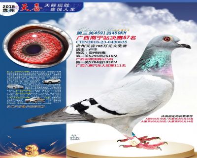 贵州天喜决赛67名