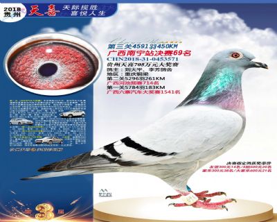 贵州天喜决赛69名