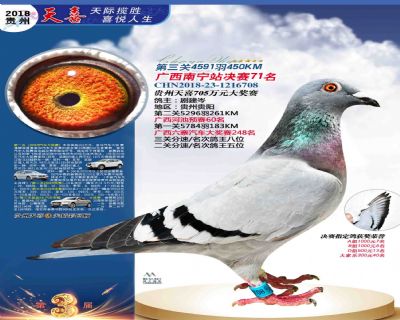 贵州天喜决赛71名
