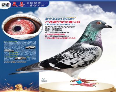 贵州天喜决赛72名