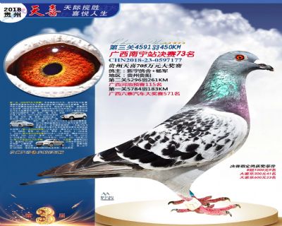 贵州天喜决赛73名