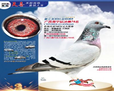 贵州天喜决赛74名