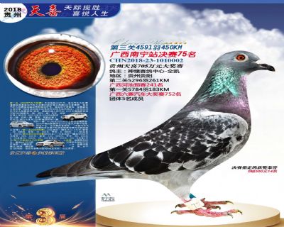 贵州天喜决赛75名