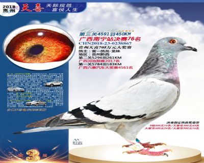 贵州天喜决赛76名