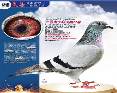 贵州天喜决赛77名