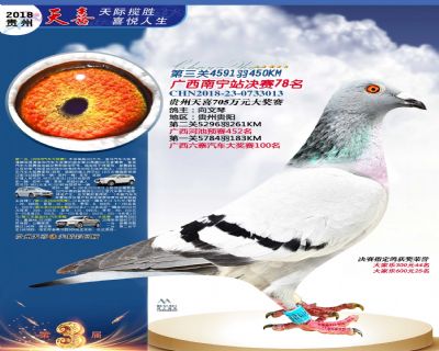 贵州天喜决赛78名