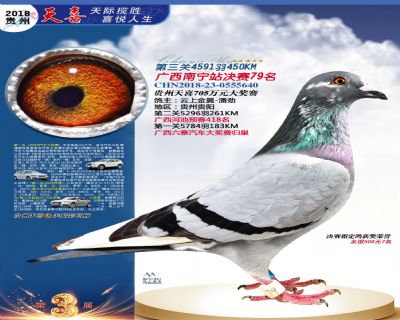 贵州天喜决赛79名