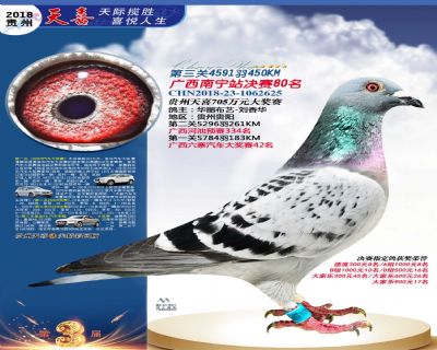 贵州天喜决赛80名
