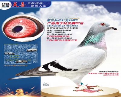 贵州天喜决赛82名