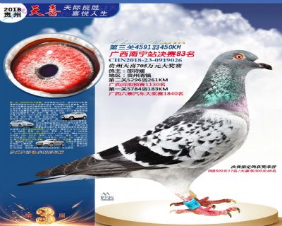 贵州天喜决赛83名