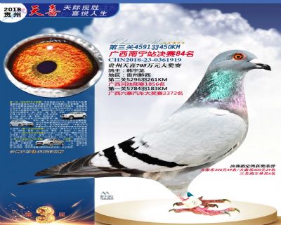 贵州天喜决赛84名