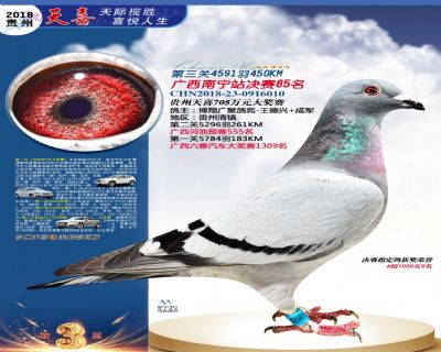 贵州天喜决赛85名