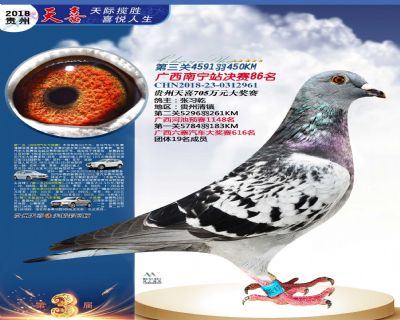贵州天喜决赛86名