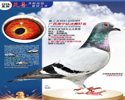 贵州天喜决赛87名