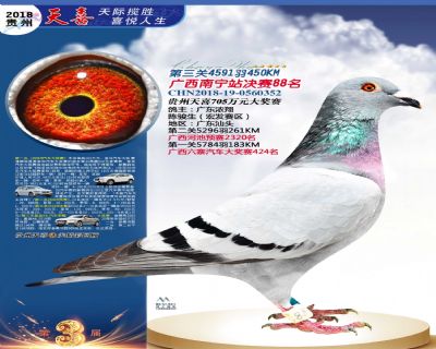贵州天喜决赛88名
