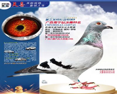 贵州天喜决赛89名