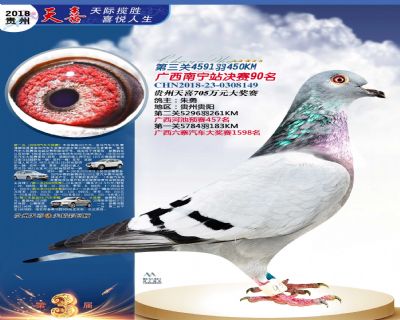 贵州天喜决赛90名