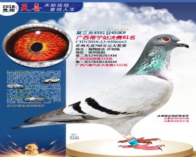 贵州天喜决赛91名