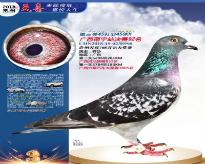 贵州天喜决赛92名