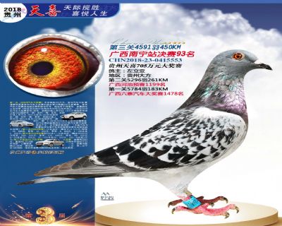 贵州天喜决赛93名