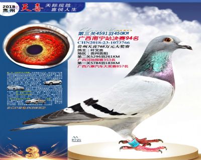 贵州天喜决赛94名