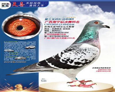 贵州天喜决赛95名