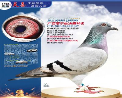 贵州天喜决赛96名