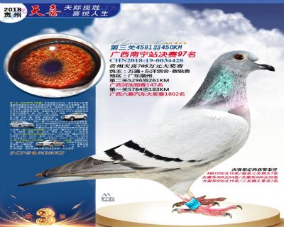 贵州天喜决赛97名