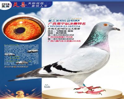 贵州天喜决赛98名