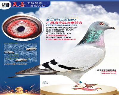 贵州天喜决赛99名