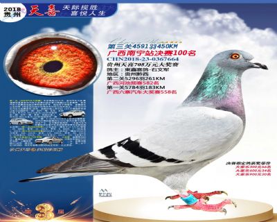 贵州天喜决赛100名
