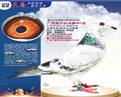 贵州天喜决赛201名