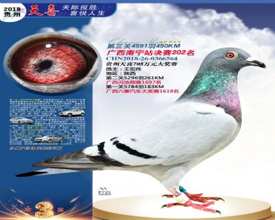 贵州天喜决赛202名