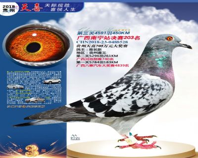 贵州天喜决赛203名