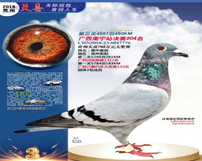 贵州天喜决赛204名
