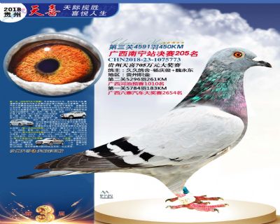 贵州天喜决赛205名
