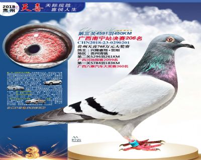 贵州天喜决赛206名